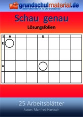 Lösungsfolien.pdf